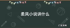 柔风小说讲什么 柔风小说主要内容简介
