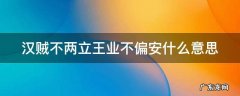 汉、贼不两立,王业不偏安 汉贼不两立王业不偏安什么意思