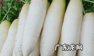 大量萝卜储存方法 大量萝卜储藏方法