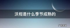 沃柑在几月份成熟 沃柑是什么季节成熟的