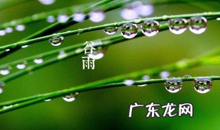 谷雨是什么意思呢 谷雨是什么意思呢雨