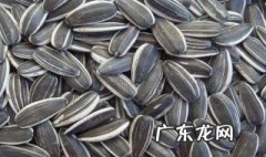 葵花籽其实是向日葵的什么是果实还是根 葵花籽其实是向日葵的什么