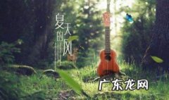夏天的风歌词表达什么感情 夏天的风歌词
