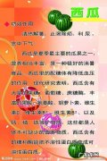 西瓜的作用和功效