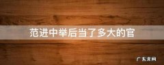 范进中举后当了多大的官 范进中举后当了多大的官?