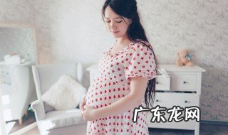 孕妈妈的综艺节目有哪些名字 孕妈妈的综艺节目有哪些