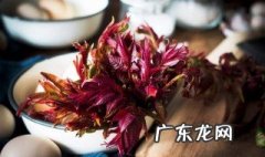 孕妇能吃香椿吗前三个月 孕妇能吃香椿吗