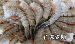 明虾在家如何放能活的最久 明虾怎么养才不会死