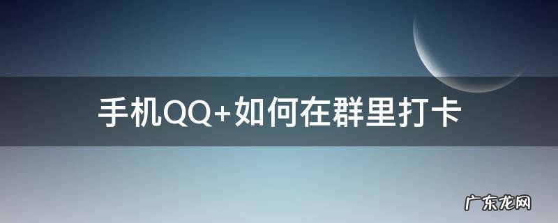 手机QQ 如何在群里打卡