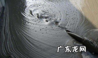 夏天混凝土养护期多长时间 混凝土夏天如何养护