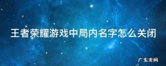 王者荣耀游戏中局内名字怎么关闭 王者局内名称怎么关闭