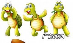 家里养龟十大禁忌 乌龟好养活吗