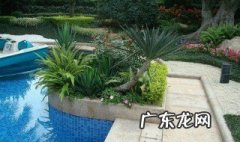庭院适合栽植什么灌木 庭院适合栽植什么灌木植物