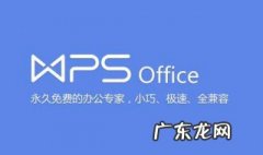 wps表格中怎么调成适合文字的 wps表格中怎么调成适合文字