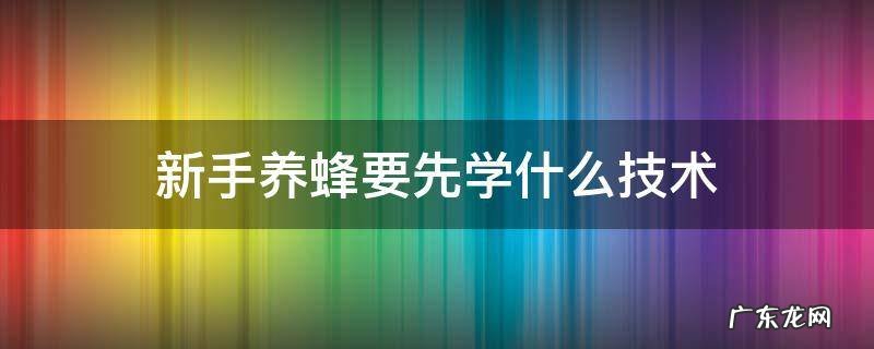 新手养蜂要先学什么技术 新手养蜂入门技术
