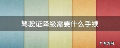 驾驶证降级需要什么手续 A2驾驶证降级需要什么手续