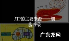做有氧呼吸方法 做有氧呼吸方法有哪些