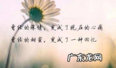 关于心情的句子 表达自己心情的句子 关于心情的句子