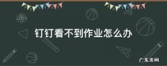 为什么钉钉作业看不到 钉钉看不到作业怎么办