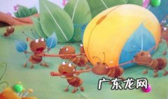 蜂场如何防治蚂蚁 如何防治蚂蚁