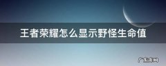 王者荣耀不显示野怪生命值 王者荣耀怎么显示野怪生命值