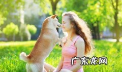 狗狗太瘦为什么 狗狗太瘦为什么不吃狗粮
