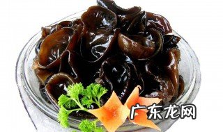 为什么吃了木耳会中毒 为什么吃木耳容易饿