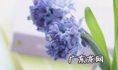 大气又低调的名字 大气又低调的名字微信女