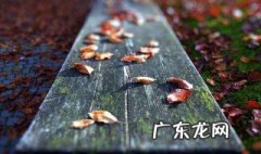 人为什么要落叶归根,有什么风水意义? 人为什么要落叶归根