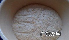 面粉发酵用什么发酵最好? 面粉发酵哪种方法好