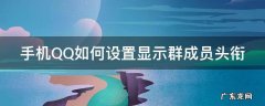 手机QQ如何设置显示群成员头衔 手机qq如何设置显示群成员头衔名称