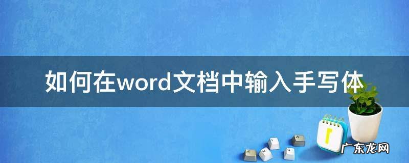 word文档中怎么手写字 如何在word文档中输入手写体