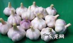 独蒜头怎么保鲜 独头蒜怎么储藏好