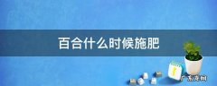 百合啥时候施肥 百合什么时候施肥