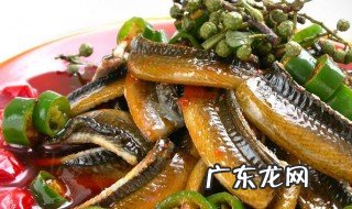 养鳝鱼是怎么样的 养鳝鱼是怎么样的过程