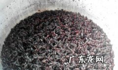 炒黑糯米怎么做 炒黑糯米怎么做好吃