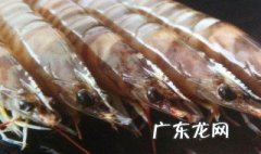 虾快死的样子 虾快死了怎么保存