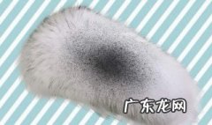 毛领子怎么清洗变蓬松一点 毛领子怎么清洗变蓬松