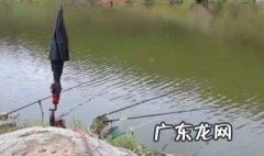 嫩玉米钓鱼的方法 嫩玉米钓鱼方法视频