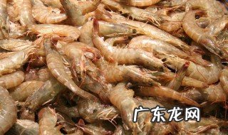 卖对虾怎么养不死 对虾怎么卖的价格