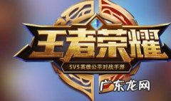 王者荣耀暂未选择是什么意思 王者荣耀暂未选择是什么意思啊