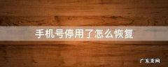 手机号停用了怎么恢复 手机号停用了怎么恢复使用?