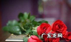 玫瑰花语每朵代表什么 玫瑰送19朵好还是33朵好