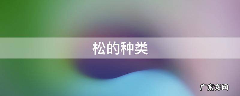 松的种类有多少 松的种类