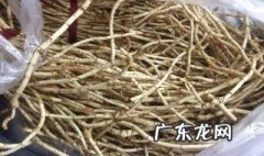 鱼腥草的功效与作用鱼腥 鱼腥草的功效与作用鱼腥草的食用方法