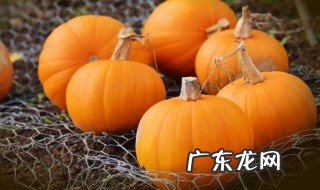 7个月宝宝吃南瓜的功效与作用 7个月宝宝吃南瓜的功效与作用是什么
