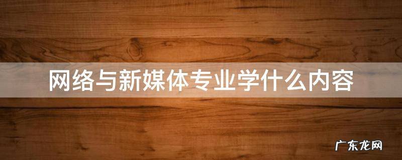 网络与新媒体专业学什么内容 网络与新媒体专业主要学什么