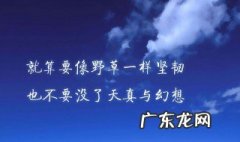 含冤最经典的诗句 形容被冤枉的经典句子
