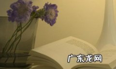 半生缘佳句 半生缘经典句子