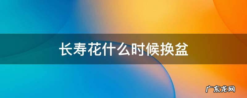 长寿花什么时候换盆合造 长寿花什么时候换盆